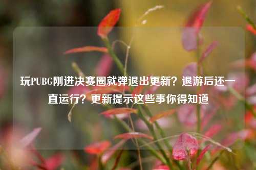 玩PUBG刚进决赛圈就弹退出更新？退游后还一直运行？更新提示这些事你得知道