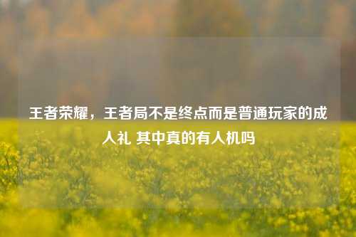 王者荣耀,王者局不是终点而是普通玩家的成人礼 其中真的有人机吗