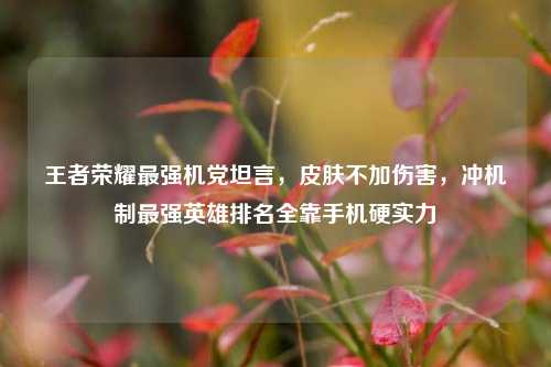 王者荣耀最强机党坦言，皮肤不加伤害，冲机制最强英雄排名全靠手机硬实力