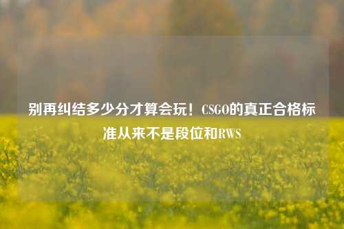 别再纠结多少分才算会玩！CSGO的真正合格标准从来不是段位和RWS