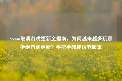 Steam取消游戏更新全指南,为何越来越多玩家拒绝自动更新?手把手教你玩老版本