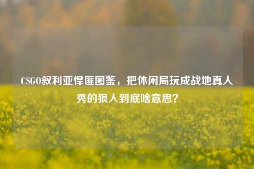 CSGO叙利亚悍匪图鉴，把休闲局玩成战地真人秀的狠人到底啥意思？