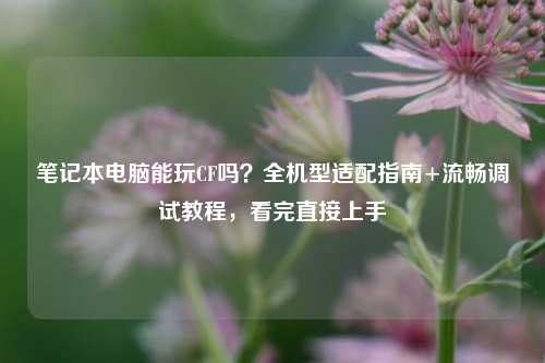 笔记本电脑能玩CF吗?全机型适配指南+流畅调试教程,看完直接上手