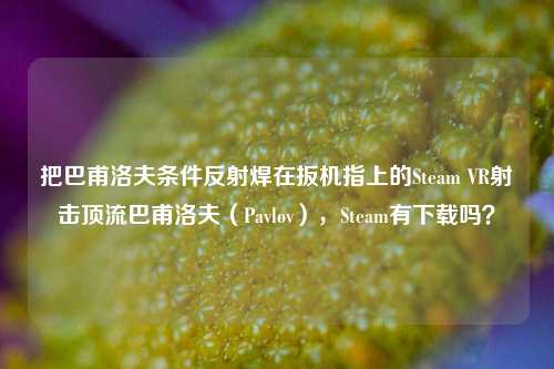 把巴甫洛夫条件反射焊在扳机指上的Steam VR射击顶流巴甫洛夫(Pavlov),Steam有下载吗?
