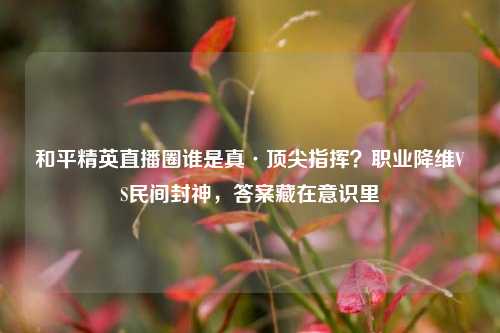 和平精英直播圈谁是真·顶尖指挥?职业降维VS民间封神,答案藏在意识里