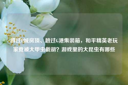 蹲过P城房顶、趟过G港集装箱,和平精英老玩家竟被大甲虫截胡?游戏里的大昆虫有哪些