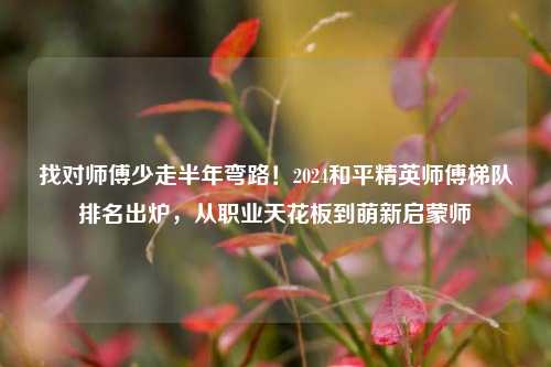 找对师傅少走半年弯路！2024和平精英师傅梯队排名出炉，从职业天花板到萌新启蒙师