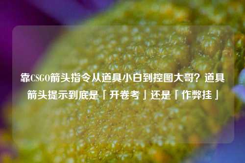 靠CSGO箭头指令从道具小白到控图大哥?道具箭头提示到底是「开卷考」还是「作弊挂」