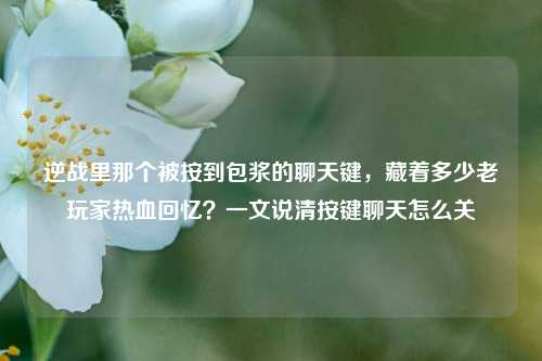 逆战里那个被按到包浆的聊天键,藏着多少老玩家热血回忆?一文说清按键聊天怎么关