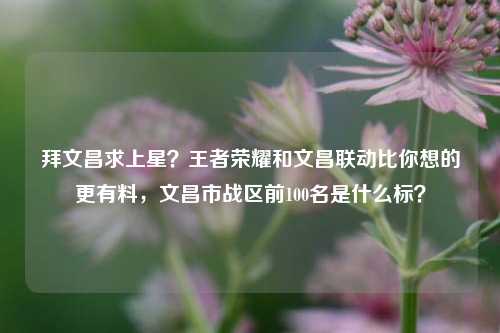 拜文昌求上星？王者荣耀和文昌联动比你想的更有料，文昌市战区前100名是什么标？