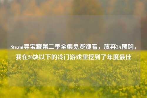 Steam寻宝藏第二季全集免费观看,放弃3A预购,我在20块以下的冷门游戏里挖到了年度最佳