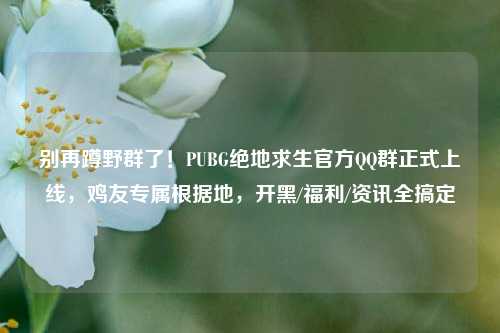 别再蹲野群了！PUBG绝地求生官方QQ群正式上线，鸡友专属根据地，开黑/福利/资讯全搞定