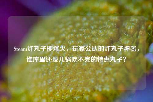 Steam炸丸子梗爆火，玩家公认的炸丸子神器，谁库里还没几锅吃不完的特惠丸子？