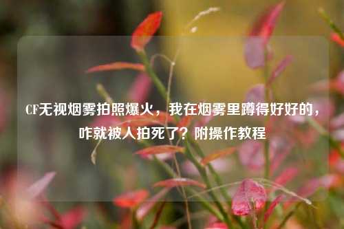 CF无视烟雾拍照爆火，我在烟雾里蹲得好好的，咋就被人拍死了？附操作教程