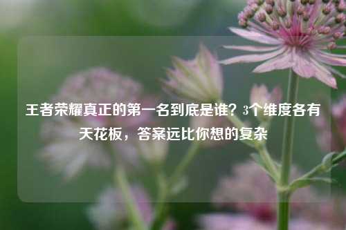 王者荣耀真正的第一名到底是谁?3个维度各有天花板,答案远比你想的复杂