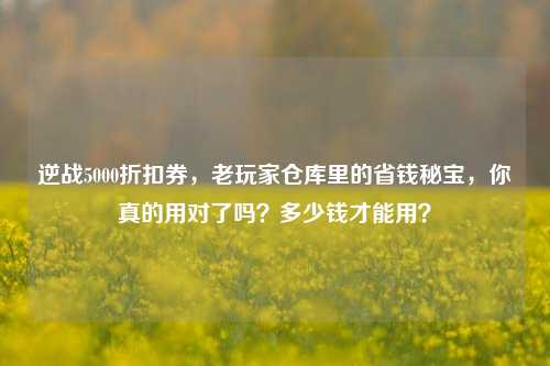 逆战5000折扣券,老玩家仓库里的省钱秘宝,你真的用对了吗?多少钱才能用?