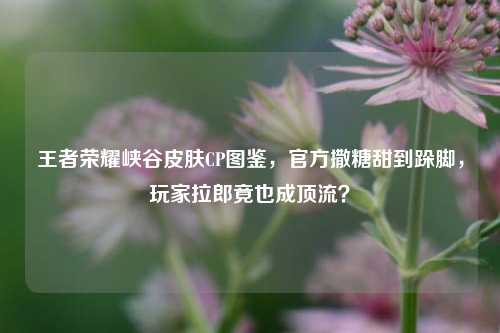 王者荣耀峡谷皮肤CP图鉴，官方撒糖甜到跺脚，玩家拉郎竟也成顶流？