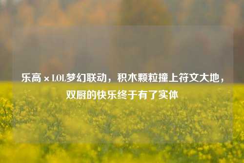 乐高×LOL梦幻联动，积木颗粒撞上符文大地，双厨的快乐终于有了实体
