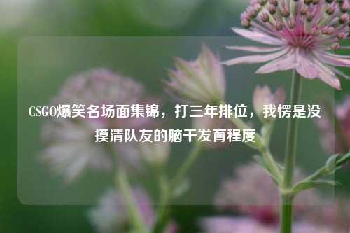 CSGO爆笑名场面集锦，打三年排位，我愣是没摸清队友的脑干发育程度