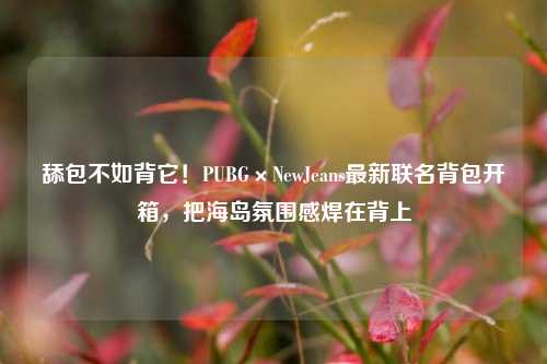 舔包不如背它!PUBG×NewJeans最新联名背包开箱,把海岛氛围感焊在背上