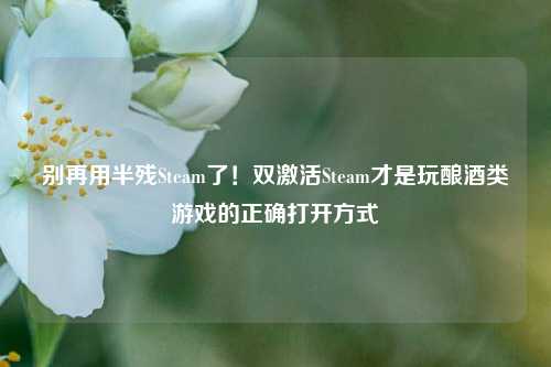 别再用半残Steam了！双激活Steam才是玩酿酒类游戏的正确打开方式