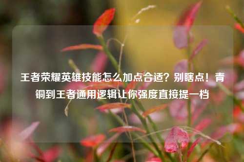 王者荣耀英雄技能怎么加点合适?别瞎点!青铜到王者通用逻辑让你强度直接提一档