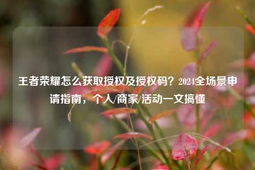 王者荣耀怎么获取授权及授权码?2024全场景申请指南,个人/商家/活动一文搞懂