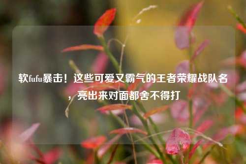 软fufu暴击!这些可爱又霸气的王者荣耀战队名,亮出来对面都舍不得打