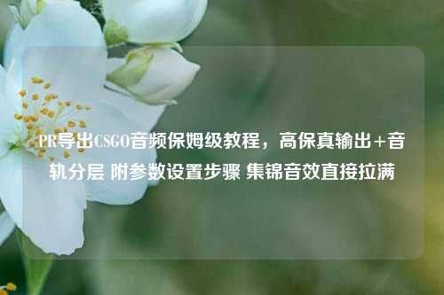 PR导出CSGO音频保姆级教程,高保真输出+音轨分层 附参数设置步骤 集锦音效直接拉满