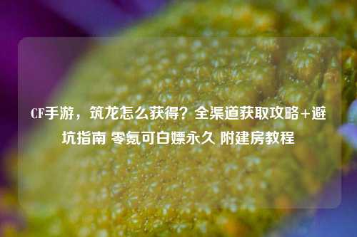 CF手游,筑龙怎么获得?全渠道获取攻略+避坑指南 零氪可白嫖永久 附建房教程