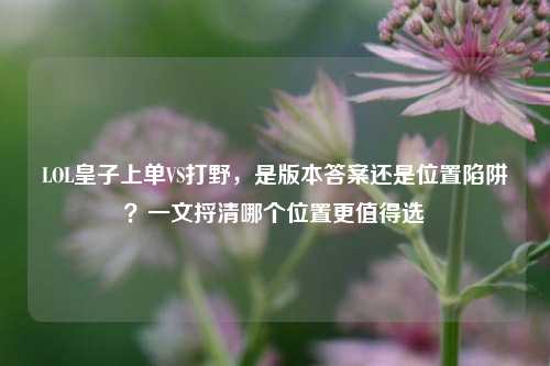 LOL皇子上单VS打野,是版本答案还是位置陷阱?一文捋清哪个位置更值得选