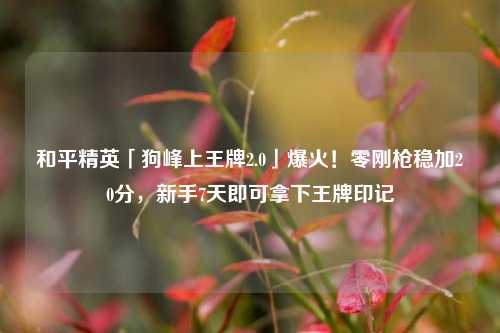 和平精英「狗峰上王牌2.0」爆火！零刚枪稳加20分，新手7天即可拿下王牌印记
