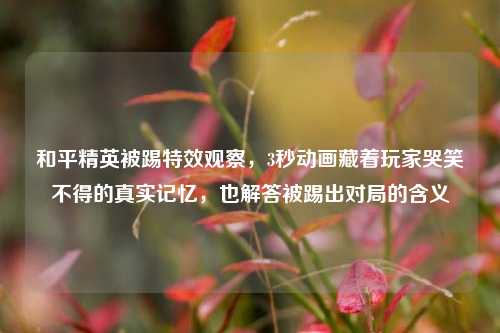 和平精英被踢特效观察，3秒动画藏着玩家哭笑不得的真实记忆，也解答被踢出对局的含义