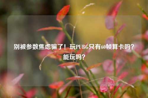 别被参数焦虑骗了！玩PUBG只有60帧算卡吗？能玩吗？