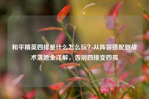 和平精英四排是什么怎么玩？从阵容搭配到战术落地全详解，告别四排变四孤