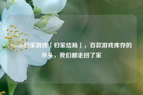 Steam归家游戏「归家结局」，百款游戏库存的尽头，我们都走回了家