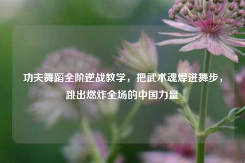 功夫舞蹈全阶逆战教学，把武术魂焊进舞步，跳出燃炸全场的中国力量