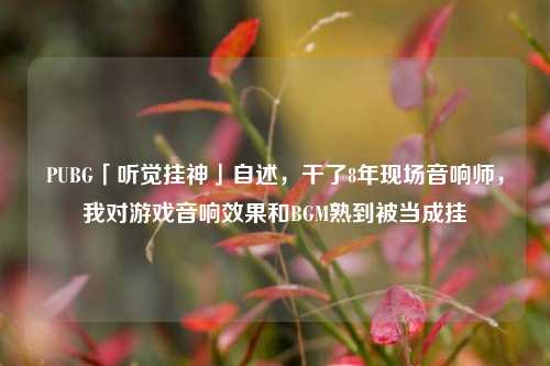 PUBG「听觉挂神」自述,干了8年现场音响师,我对游戏音响效果和BGM熟到被当成挂