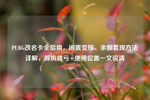 PUBG改名卡全指南，闲置变现、余额套现方法详解，踩坑就亏+使用位置一文说清