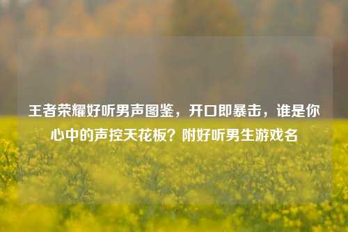 王者荣耀好听男声图鉴,开口即暴击,谁是你心中的声控天花板?附好听男生游戏名
