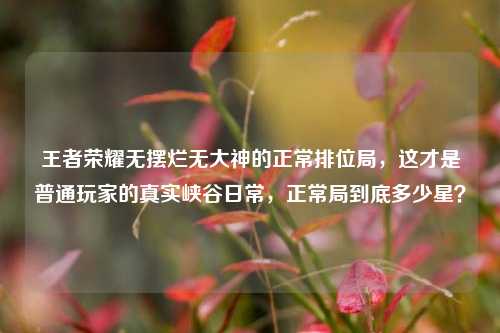 王者荣耀无摆烂无大神的正常排位局,这才是普通玩家的真实峡谷日常,正常局到底多少星?