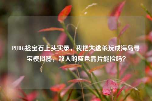 PUBG捡宝石上头实录,我把大逃杀玩成海岛寻宝模拟器,敌人的蓝色晶片能捡吗?