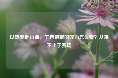 以热爱赴山海，王者荣耀的效力怎么看？从来不止于赛场