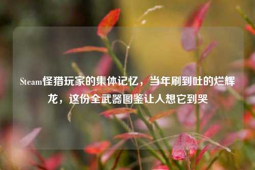 Steam怪猎玩家的集体记忆,当年刷到吐的烂辉龙,这份全武器图鉴让人想它到哭