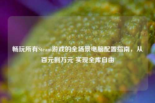 畅玩所有Steam游戏的全场景电脑配置指南,从百元到万元 实现全库自由