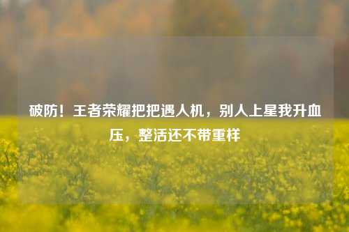 破防！王者荣耀把把遇人机，别人上星我升血压，整活还不带重样