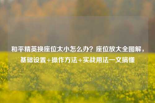 和平精英换座位太小怎么办？座位放大全图解，基础设置+操作方法+实战用法一文搞懂