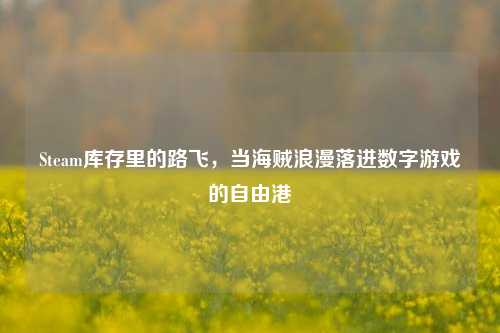 Steam库存里的路飞,当海贼浪漫落进数字游戏的自由港