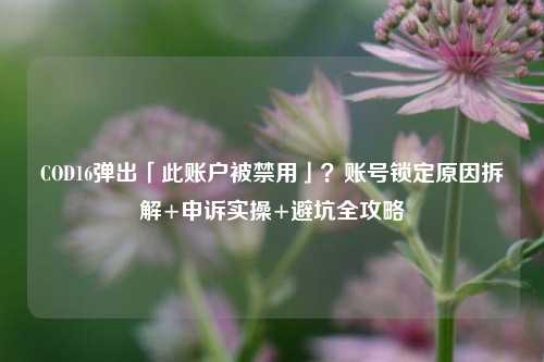 COD16弹出「此账户被禁用」？账号锁定原因拆解+申诉实操+避坑全攻略