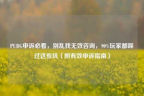 PUBG申诉必看,别乱找无效咨询,90%玩家都踩过这些坑(附有效申诉指南)